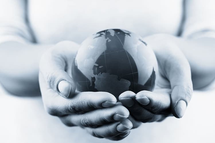 Local and International Moving